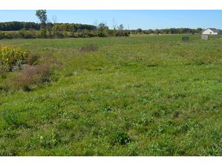 Property photo 26 - 80 +/- Acres Offered in 6 Tracts - Spectacular Farm & Home